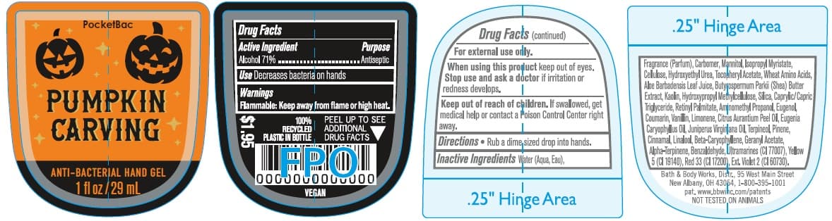 Antiseptic — Reference image, actual packaging may vary