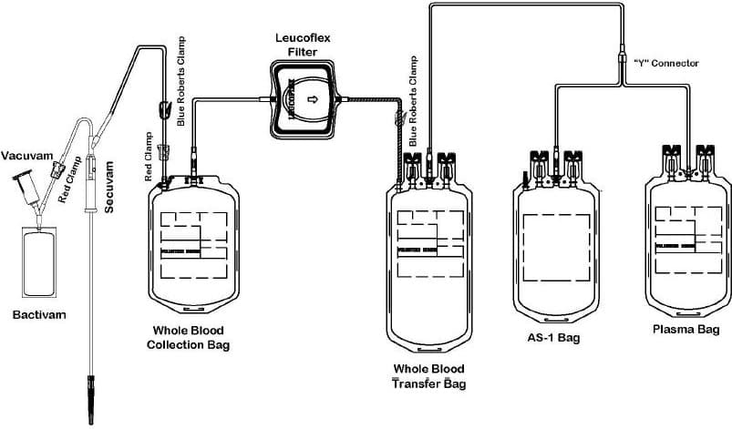 Sterile Cord Blood Collection Unit (msc128d) — Reference image, actual packaging may vary