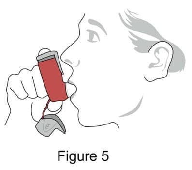 Budesonide and Formoterol Fumarate Dihydrate — Reference image, actual packaging may vary