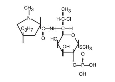 Clindamycin Phosphate — Reference image, actual packaging may vary