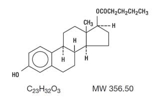 Estradiol Valerate — Reference image, actual packaging may vary