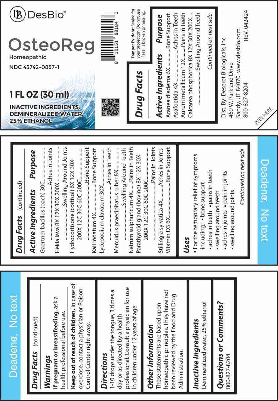 Osteoreg (Asafoetida, Kali Iodatum, Natrum Sulphuricum, Stillingia Sylvatica, Aranea Diadema, Vitamin D3, Hydrocortisone (cortisol), Mercurius Praecipitatus Ruber, Calcarea Phosphorica, Hekla Lava, Parathyroid Gland (bovine), Aurum Metallicum, Lycopodium Clavatum, Gaertner Bacillus (bach)) package label