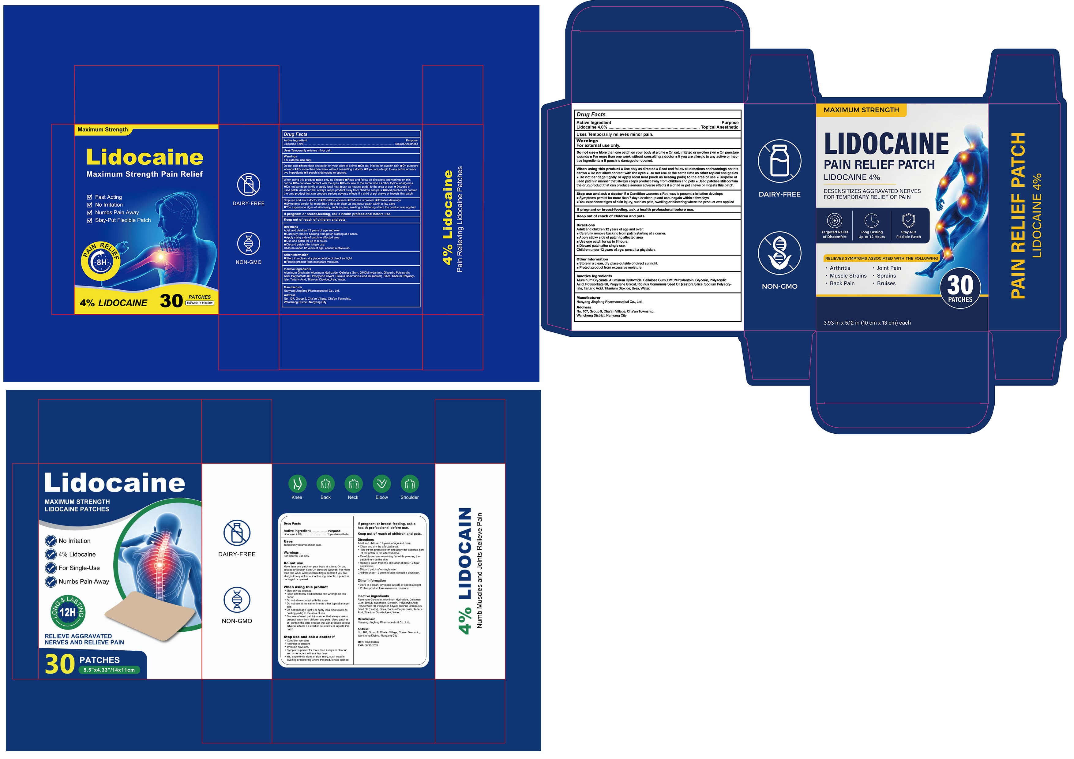 Rapid Relief (Pain Relief Patch Lidocaine 4%) package label