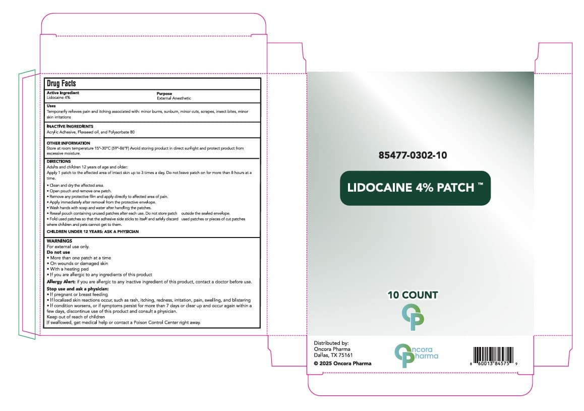 Curist Lidocaine Patch — Reference image, actual packaging may vary