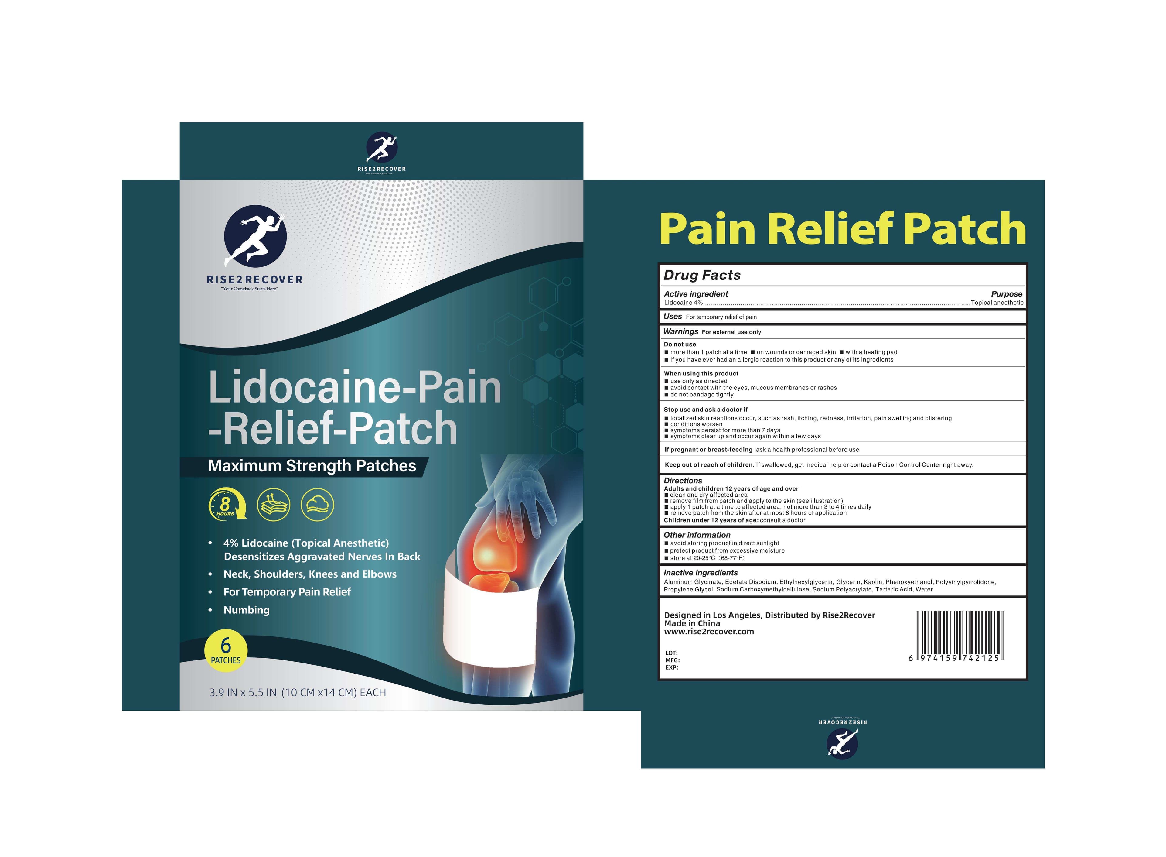 Lidocaine-Pain-Relief-Patch — Reference image, actual packaging may vary
