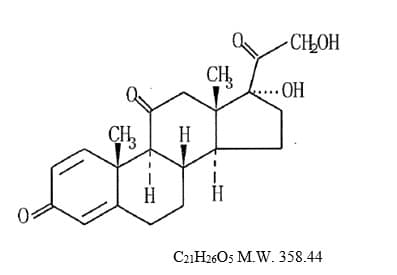 Prednisone — Reference image, actual packaging may vary