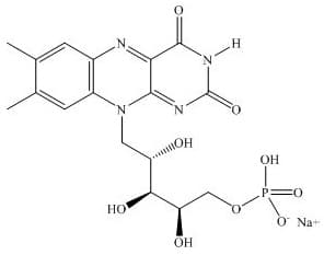 Epioxa Cross-Linking — Reference image, actual packaging may vary