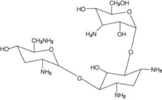 Tobramycin Inhalation Solution — Reference image, actual packaging may vary