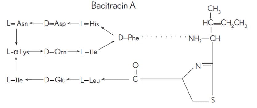 Bacitracin Zinc and Polymyxin B Sulfate package label