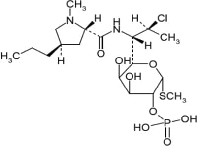 Clindamycin Phosphate and Benzoyl Peroxide package label