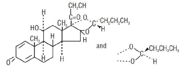 Budesonide Inhalation package label