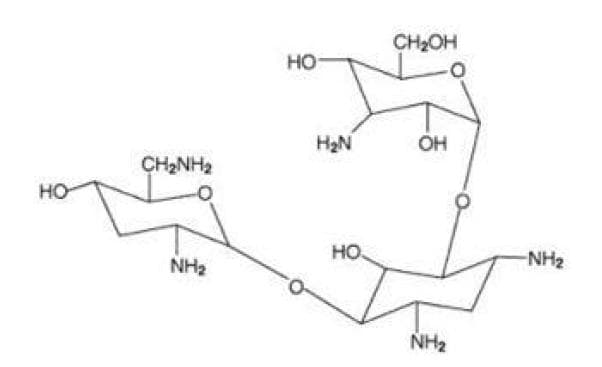 Tobrex (tobramycin) product image